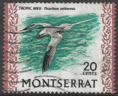 Montserrat. 1970 Birds. 20c Used. SG 249. M3072 - Montserrat