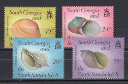 Souith Georgia & South Sandwich Is Serie 4v 1988 Snails Mussels Shells MNH - Schaaldieren