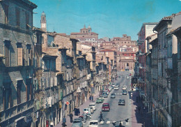 Macerata Corso Fratelli Cairoli - Sonstige & Ohne Zuordnung