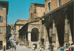Urbino Scorcio Via Da Piazza VIII Settembre - Other & Unclassified