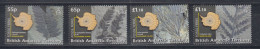 British Antarctic Territory (BAT) Fossils / Ferns 4v ** Mnh (ZO159) - Unused Stamps