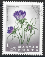 Hungary 1967. Scott #1813 (U) Flowers, Edraianthus Tenuifolius - Usado
