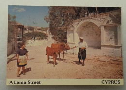 Cyprus-A Lania Street - Chypre