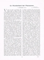 A102 1431 Thea Kaiser Wunderland Pharaonen Perlberg Ägypten Artikel 1906 - Andere & Zonder Classificatie