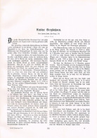 A102 1437 Henry William Hoek Anden Bergbahn La Paz Bolivien Artikel 1906 - Otros & Sin Clasificación