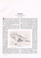 A102 1440 Julius Baum Paznaun Tirol Mathias Schmid Artikel 1905 - Andere & Zonder Classificatie