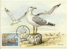 Carte Maximum - Oiseaux - Portugal - Gaivota Prateada - Goéland Argenté - European Herring Gull - Larus Argentatus - Möwen