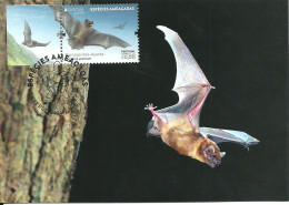 Carte Maximum - Portugal Europa - Especies Ameaçadas Morcego Açores - Nyctalus Azoreum - Noctule Bat - Maximum Cards & Covers