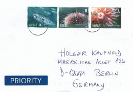 Norway 2024 Oslo Sea Anemone Urticina Eques Urchin Strongylocentrotus Droebachiensis Mackerel Scomber Scombrus Cover - Cartas & Documentos