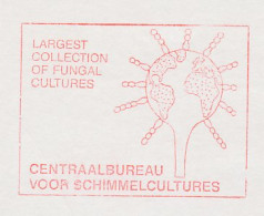 Meter Cut Netherlands 1993 Fungal Cultures - Autres & Non Classés