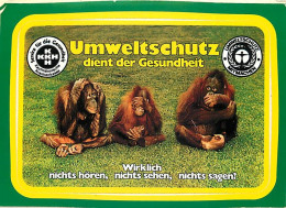 Animaux - Singes - Orang-Outan - Carte à Message - CPM - Voir Scans Recto-Verso - Singes