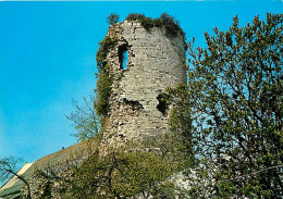 59 - Jeumont - La Tour - Vieilles Pierres - CPM - Voir Scans Recto-Verso - Jeumont