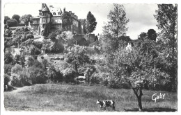 53 Ambrieres Le Grand -   L'hotel De Ville  - Les Bords De La Varenne - Ambrieres Les Vallees