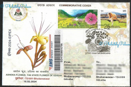 India 2024 Ashoka Flower,Indian Roller,Bird,Peepal Tree,Fish,Deer,Animal,State Odisha,Registered Cover (**) Inde Indien - Cartas & Documentos