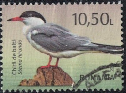 Roumanie 2021 Oblitéré Used Oiseau Sterna Hirundo Sterne Pierregarin Y&T RO 6679 SU - Usados