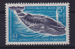 Französische Antarktis 1966 Blauwal Mi.-Nr. 36 Postfrisch **  - Andere & Zonder Classificatie