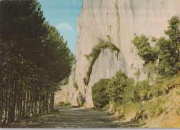 MALAUCENE. - Le Portail Saint-Jean Sur La Route Du MONT-VENTOUX. Cpm Rare - Malaucene