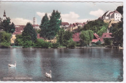 ALLEMAGNE - SULZBACH ROSENBERG - CIGNE ET VUE GENRALE - Sulzbach-Rosenberg