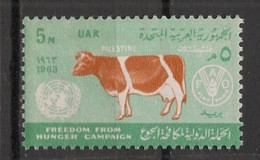 PALESTINE - EGYPT OCCUPATION - 1963 - N°YT. 92 - Vache / Cow - Neuf Luxe ** / MNH / Postfrisch - Mucche