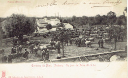 79 Niort  Prahecq Un Jour De Foire  (marché) Poitou  - Niort