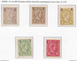 1895 LUSSEMBURGO  - Servizio N° 77/81 5 Valori MNH/** - Altri & Non Classificati