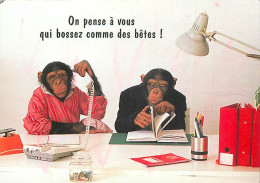 Animaux - Singes - Chimpanzé - Carte à Message - Animaux Humanisés - CPM - Voir Scans Recto-Verso - Singes