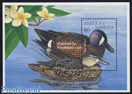 Antigua & Barbuda 1995 Ducks S/s, Mint NH, Nature - Birds - Ducks - Antigua Und Barbuda (1981-...)