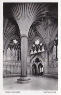 AK 208004 ENGLAND - Wells Cathedral - Chapter House - Wells