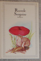 Petit Calendrier De Poche 1983 Champignon Russule Sanguine Pharmacie Montluçon Allier - Création Engelhard - Kleinformat : 1981-90