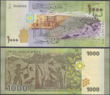 SYRIA - 1000 Pounds AH1435 2013AD P# 116 Middle East Banknote - Edelweiss Coins - Syria