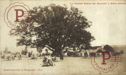 ETHIOPIE. ETIOPIA. Le Grand Arbre Du Marché à Adis - Abeba - Ethiopie