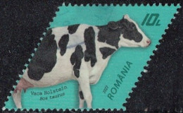 Roumanie 2022 Oblitéré Used Vache Holstein Race Bovine Y&T RO 6697 SU - Usados