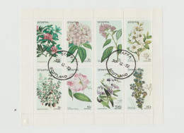 Ecosse - Staffa Scotland - Bloc De 8 Timbres Les Fleurs Et 3 Timbres Fleurs - Année 1972 - Escocia