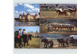 72391528 Moritzburg Sachsen Schloss Und Hengstparade Moritzburg - Moritzburg