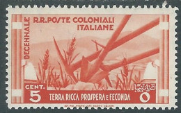 1933 EMISSIONI GENERALI DECENNALE 5 CENT MH * - RA15-6 - Emissions Générales