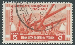 1933 EMISSIONI GENERALI USATO DECENNALE 5 CENT - RA6-7 - Emissions Générales