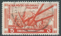 1933 EMISSIONI GENERALI USATO DECENNALE 5 CENT - RA6-9 - Emissions Générales