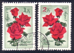 494 Hongrie Rose Roses (HON-298) - Rosen