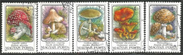 494 Hongrie Champignon Mushroom Pilz Paddestoel Fungo (HON-174d) - Pilze