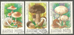 494 Hongrie Champignon Mushroom Pilz Paddestoel Fungo (HON-162) - Used Stamps