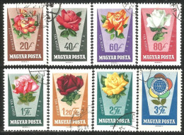 494 Hongrie Fleur Flower Blume Rose Roses Rosen Rosa (HON-166a) - Used Stamps