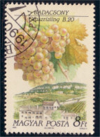 494 Hongrie Raisin Grape Vin Wein Vigne Wine (HON-95) - Vinos Y Alcoholes