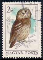 494 Hongrie Hibou Chouette Owl Eule (HON-61) - Hiboux & Chouettes