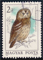 494 Hongrie Hibou Chouette Owl Eule (HON-61) - Owls