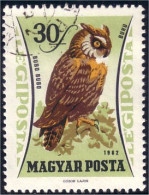 494 Hongrie Hibou Chouette Owl Eule (HON-59) - Hiboux & Chouettes