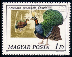 494 Hongrie Dinde Sauvage Wild Turkey (HON-58) - Gallináceos & Faisanes
