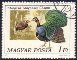 494 Hongrie Dinde Sauvage Wild Turkey (HON-17) - Gallinacées & Faisans