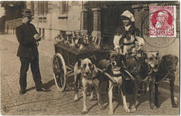 Laitière Flamande - Street Merchants