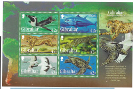 Gibraltar Mnh ** Animal Sheet 2013 Tuna Fish Turtle Bird Cheetah Sold Below Face Value - Gibraltar