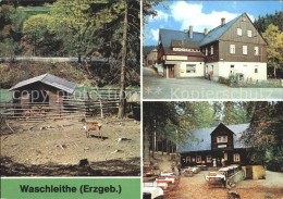 72378825 Waschleithe Tierpark Gaststaette Osterlamm Koehlerhuette  Beierfeld Erz - Grünhain